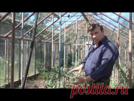 ПОДКОРМКА. Большой урожай БЕЗ минеральных удобрений