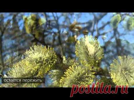 Юля Славянская-остаётся пережить