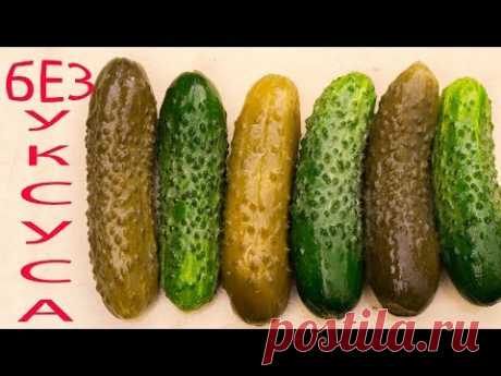 Хрустящие ОГУРЦЫ без УКСУСА и стерилизации, хранятся в квартире год и больше