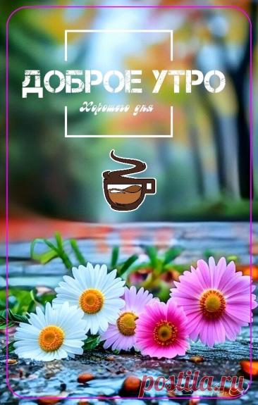 С добрым утром Привет Здрасте