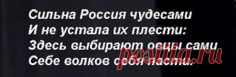 Хлесткая поэзия Игоря Губермана