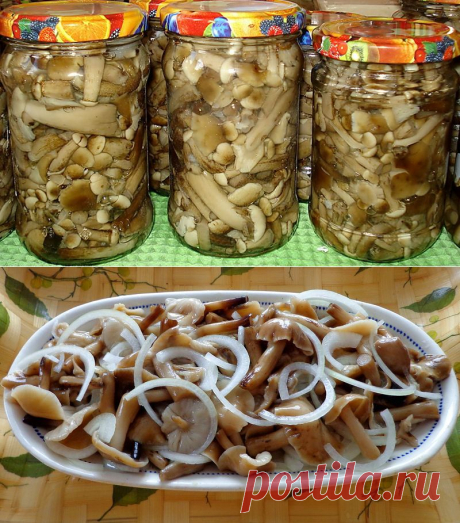 Маринованные опята. Несколько рецептов