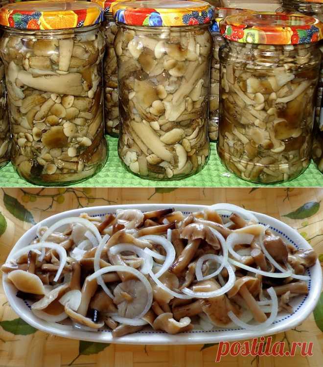 Маринованные опята. Несколько рецептов