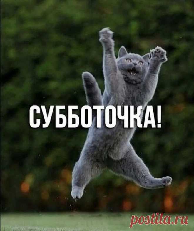 Галина Поштар - Google+