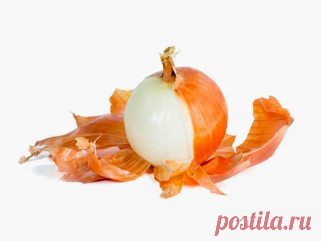Не выбрасывайте шелуху от лука — это отличное средство для нормализации давления! — Полезные советы