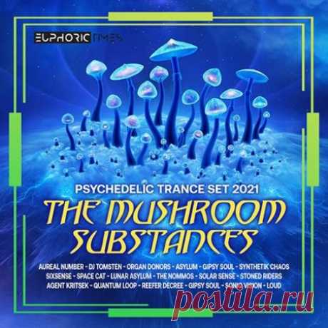 The Mushroom Substances (2021) Здесь Вас ожидает отрешение от реальности в погружение в необычайно фантастическую атмосферу музыки транс психоделики. Отличная подборка прогрессив психоделик музыки от известного медиа портала!Категория: UnmixedИсполнитель: Various ArtistНазвание: The Mushroom SubstancesСтрана: EUЛейбл: