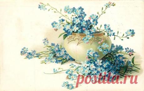 Винтажные открытки. Незабудки