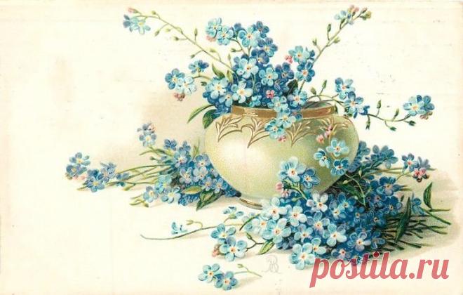 Винтажные открытки. Незабудки