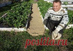 КАК СДЕЛАТЬ ЧТОБЫ В ПРОХОДАХ МЕЖДУ ГРЯДКАМИ ТРАВА НЕ РОСЛА - Садоводка