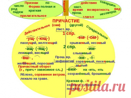 Одноклассники