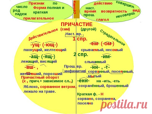 Одноклассники