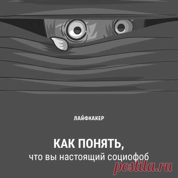 Социофобами сегодня именуют себя все кому не лень. Это эдакий образ героя нашего времени — замкнутого, отстранённого интроверта, не желающего вливаться в толпу и следовать массовым трендам. Но на самом деле всё совсем не так. Пять признаков отличают социофобов от интровертов: