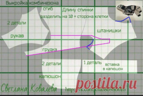 Выкройки одежды для собак, шьём сами