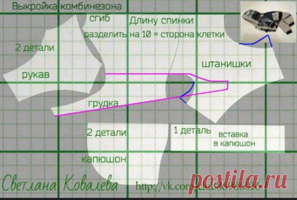 Выкройки одежды для собак, шьём сами