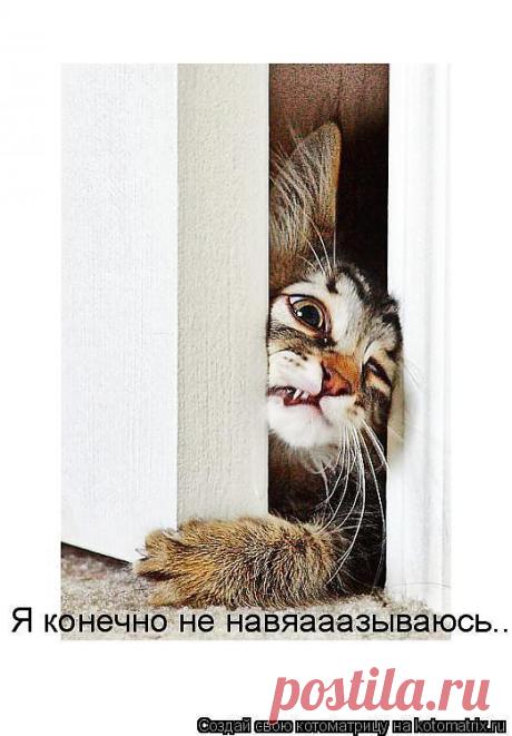 Наталья* — «997446.jpg» на Яндекс.Фотках