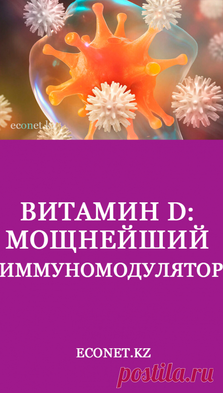 Витамин D: мощнейший иммуномодулятор

Витамин D – уникальное вещество, которое организм может получить из продуктов питания или синтезировать самостоятельно, пребывая под лучами солнца. Долгое время считалось, что его роль ограничивается укреплением костной ткани и скелета человека. Последние исследования доказали его эффективность при борьбе с инфекциями, вирусами и сезонной аллергией.