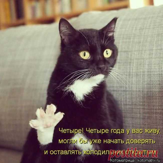 хочу доверия....