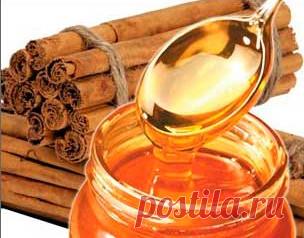 Корица, полезные свойства и противопоказания. Польза и вред