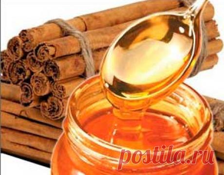 Корица, полезные свойства и противопоказания. Польза и вред