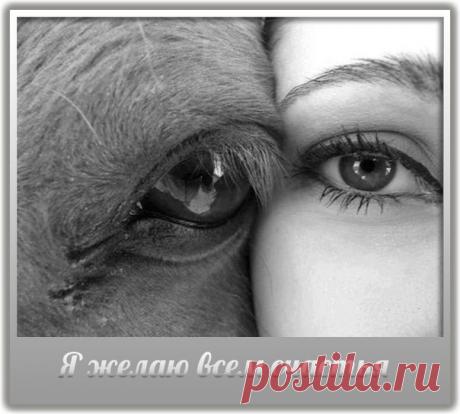 Торсунов | Хакимов | Нарушевич | Гадецкий Рузов