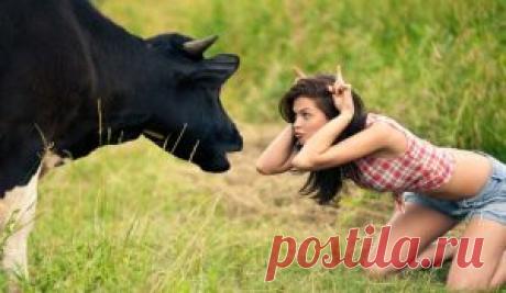 Как ответить на оскорбление - Советы психолога