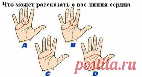 Что может рассказать о вас линия сердца на ладони!Это интересно! Проверьте себя и друзей, так ли это? | Узнал сам - расскажи другому.