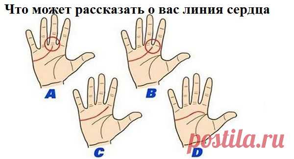 Что может рассказать о вас линия сердца на ладони!Это интересно! Проверьте себя и друзей, так ли это? | Узнал сам - расскажи другому.