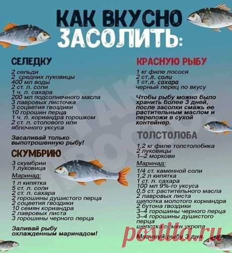 Как вкусно и правильно засолить рыбу?!