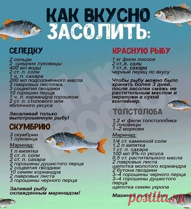 Как вкусно и правильно засолить рыбу?!