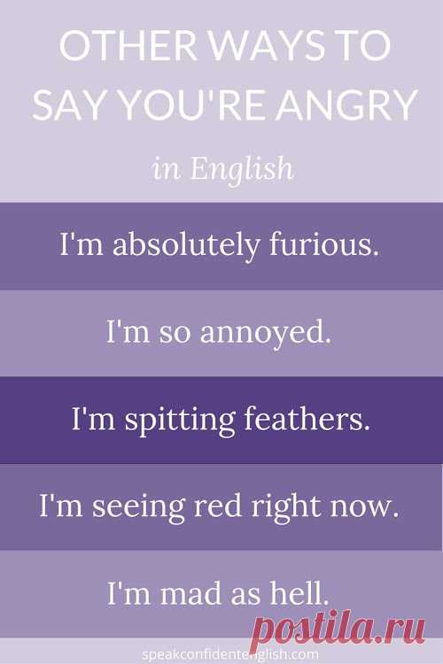 0652cf8288c267f14b536d42c449eb2f.jpg (500×750)
