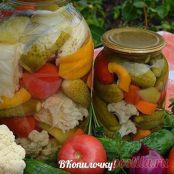 Овощное ассорти на зиму. 

Состав на 3-литр.банку: 

7-8 небольших огурцов 

3-4 бурых помидора 

2-3 маленькие луковицы 

4-5 зубчиков чесночка 

2-3 стручка сладкого перца 

1 корень петрушки 

1 корень огородного сельдерея 

несколько кусочков корня хрена 

зелень укропа 

0,5 кг цветной капустой 
Для маринада: 

1,5 л воды; 

4 стол.ложки сахара 

2 стол.ложки соли 

1/3 стакана яблочного уксуса 

черный перец горошком 

Приготовление: 

Все овощи тщательно вымыть. У о...