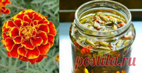 Отвар бархатцев 100 болезней лечит! А ведь это растение обладает большой целебной силой.