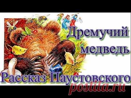 Дремучий медведь Рассказ Паустовского