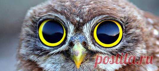 http://hydo100.blogspot.ru Много интересного...!!!)))