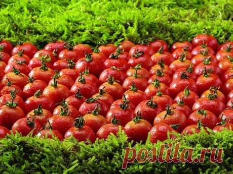 Пять продуктов, которые вызывают неприятный запах тела — HeadInsider