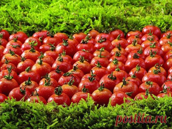 Пять продуктов, которые вызывают неприятный запах тела — HeadInsider