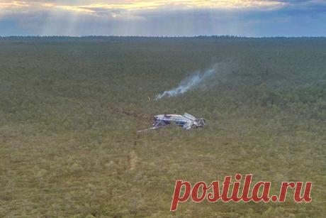 Последствия аварийной посадки Ан-28 в Томской области. Фоторепортаж. Ан-28 направлялся из города Кедровый в Томск 16 июля и пропал с радаров, аварийный маяк сработал в 160 км от Колпашево. На борту были 14 пассажиров и три члена экипажа. Спасатели позже нашли место жесткой посадки, все находившиеся на борту живы. По версии авиакомпании «Сибирская легкая авиация», причиной аварийной посадки стал отказ двух двигателей, которому предшествовало обледенение