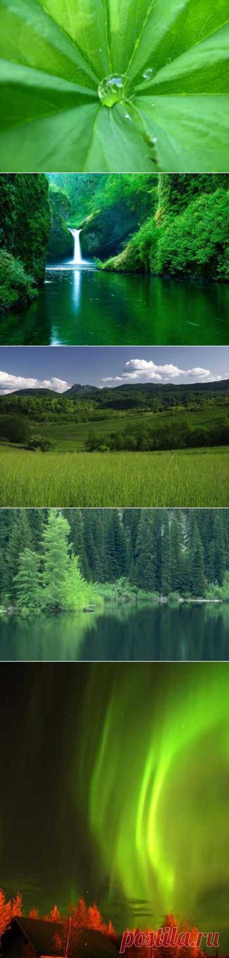 Зеленая энергия. Зеленый цвет. Чакра Анахата.
