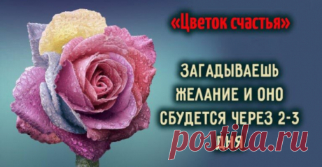 «Цветок счастья» загадываешь желание и оно сбудется через 2-3 дня
А ка вы, верите ли в чудеса , которые могут произойти. Вы когда-нибудь задумывались , что не всегда в этой жизни происходят какие-то совпадения.Вспомните многочисленные истории от наших бабушек про всякое волшебство и магию , которая все-таки может случиться . Тот самый цветок счастья поменяет ваше мнение и поможет перестать быть скептиком и поверить в […]
Читай пост далее на сайте. Жми ⏫ссылку выше