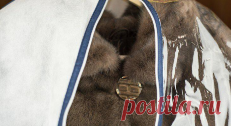 Как хранить меховую шубу
Вот и позади суровая и длинная зима. Вам верно послужила шубка, спасая...
Читай пост далее на сайте. Жми ⏫ссылку выше