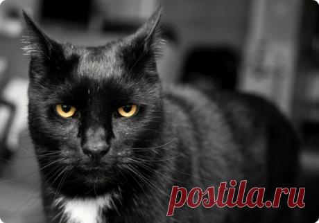 Мой Мир@Mail.Ru