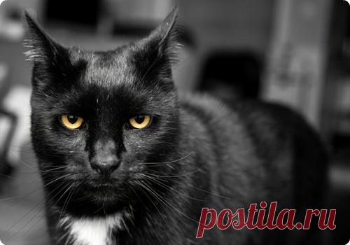 Мой Мир@Mail.Ru