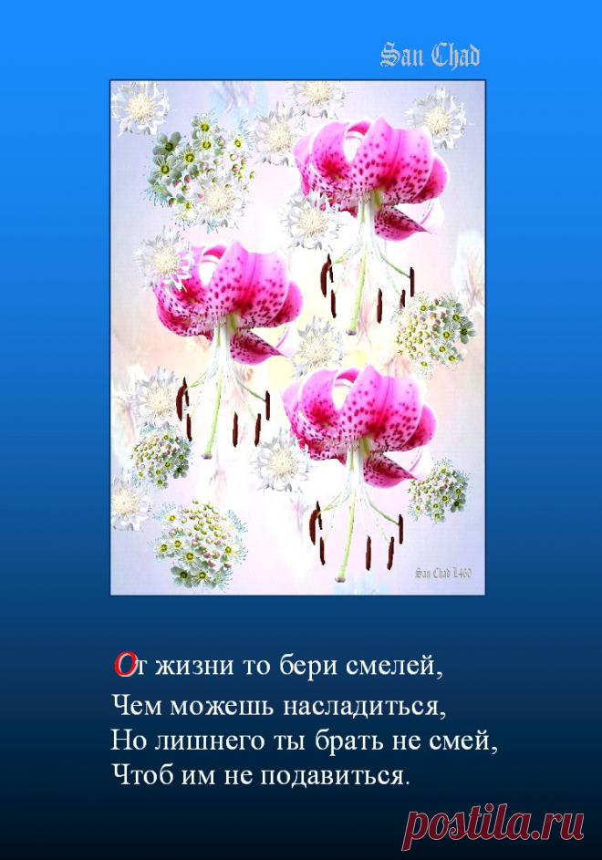 САН ЧАД * ИЗБРАННЫЕ СОФИТЫ – 96 фотографий