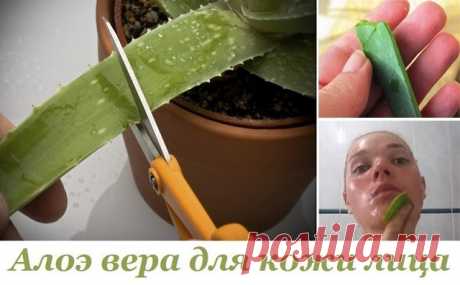 Алоэ веро для кожи лица.