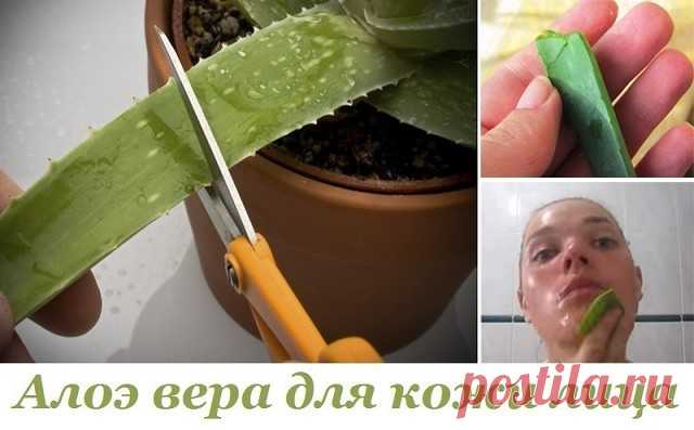 Алоэ веро для кожи лица.