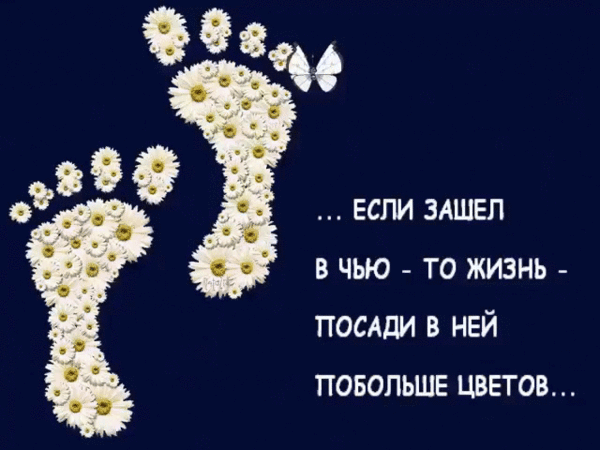 Мой Мир@Mail.Ru