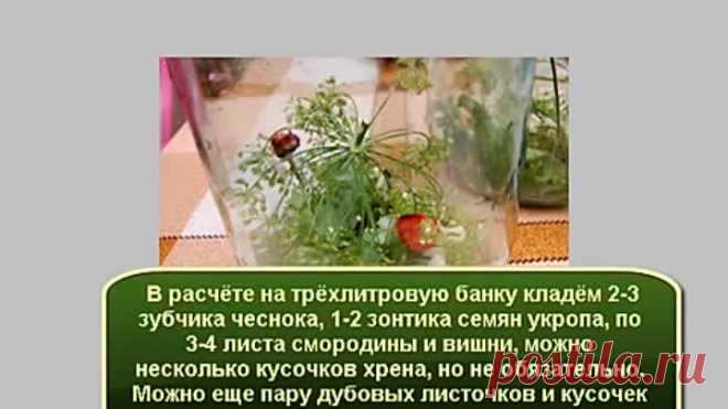 Рецепт консервации огурцов