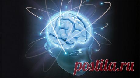 77 советов, как раскрыть возможности мозга