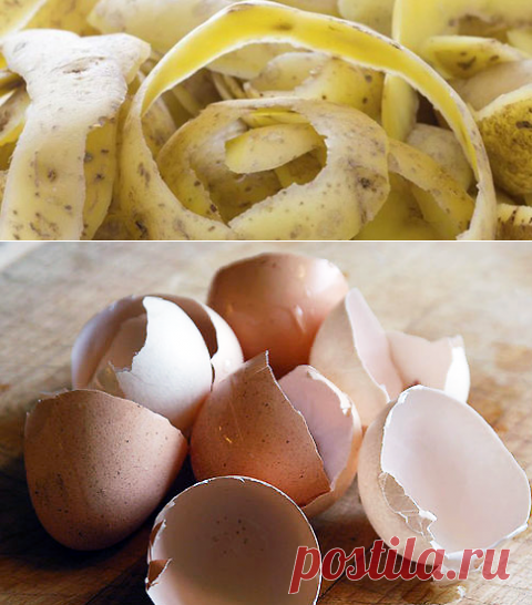 Как сохранить пищевые отходы для весенней подкормки растений