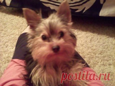 Как быстро растут детиДемя,уже рятб месяцев. Мужик!!